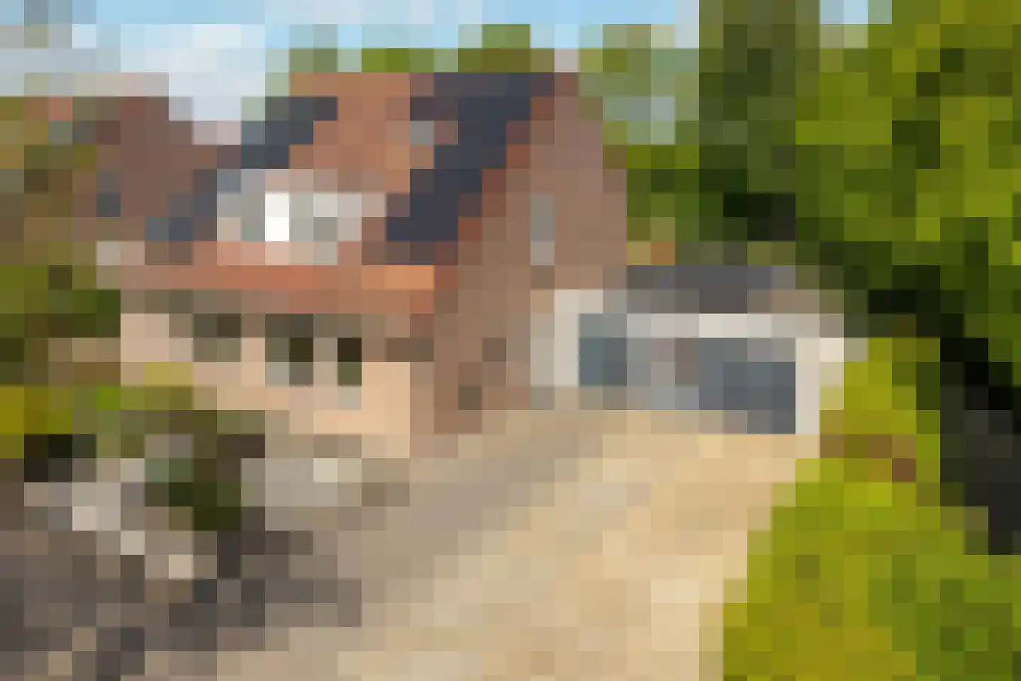 Geert Knolweg 91 Joure thumbnail 48