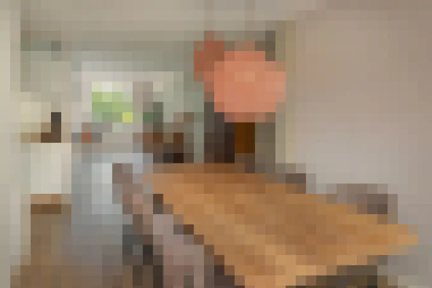 Geert Knolweg 91 Joure thumbnail 9
