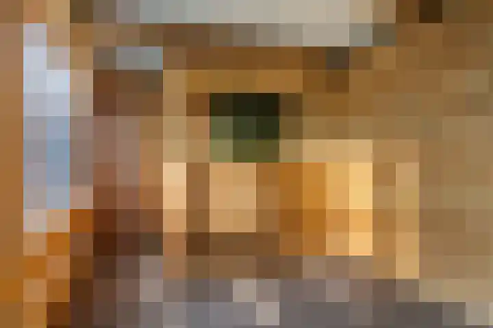 Geert Teisstraat 18 Veendam thumbnail 27