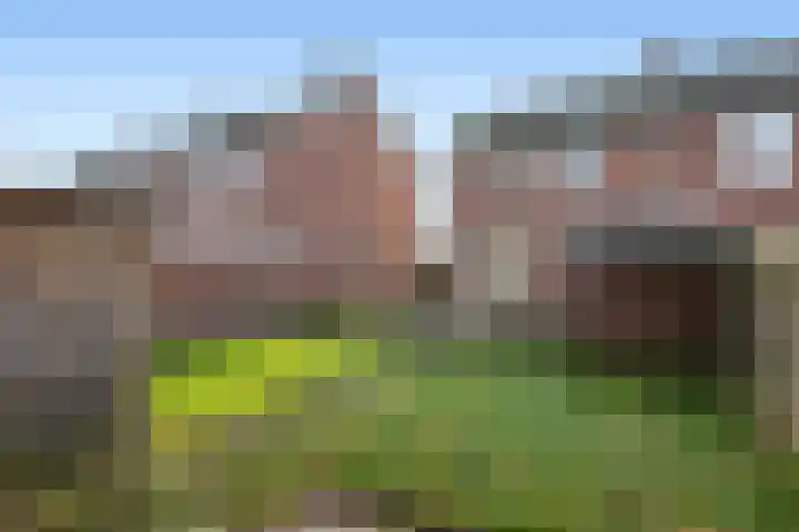 Geert Teisstraat 18 Veendam thumbnail 5