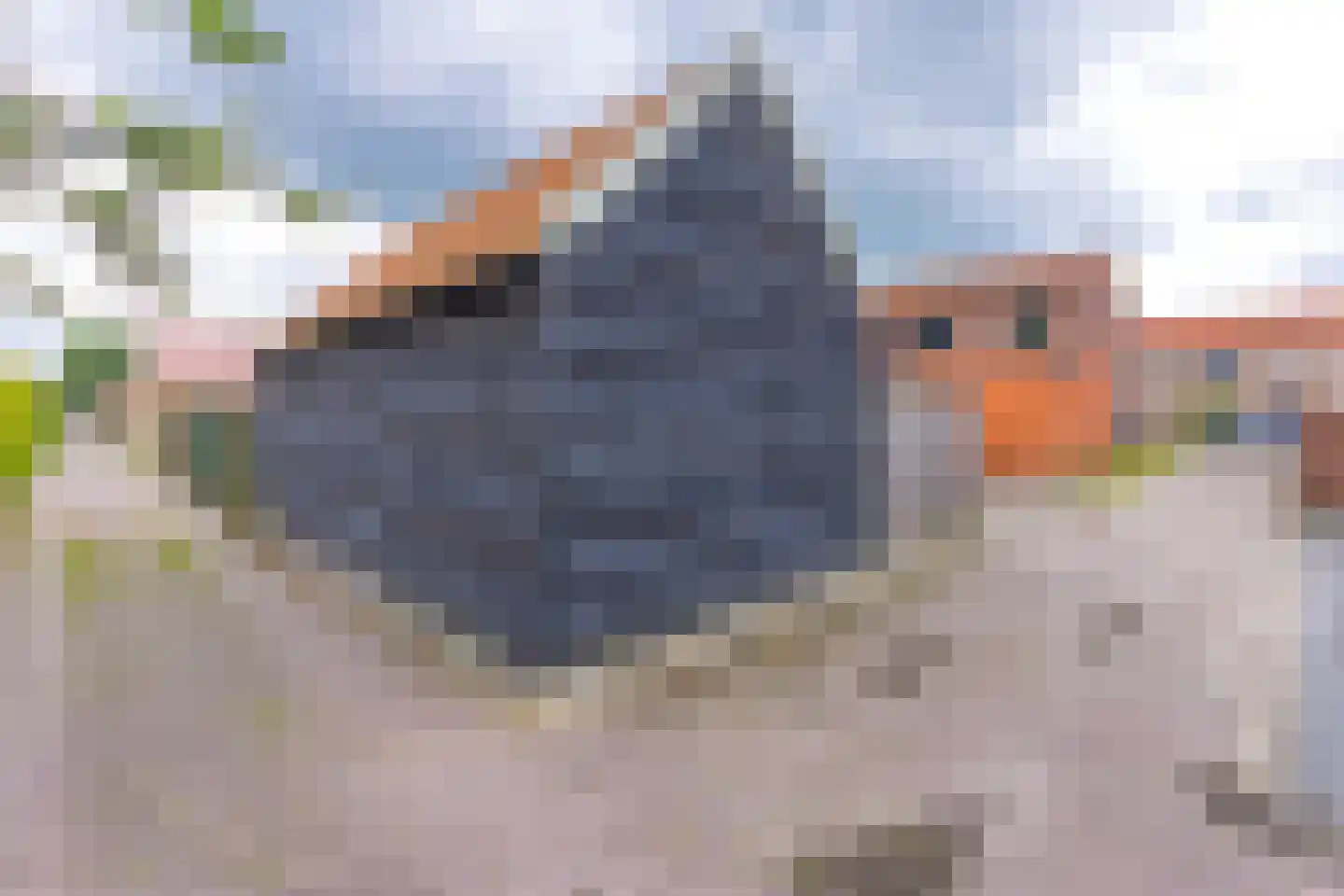 Geert Teisstraat 47 Stadskanaal thumbnail 35