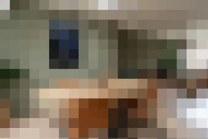 Geert Teisstraat 5 Stadskanaal thumbnail 9