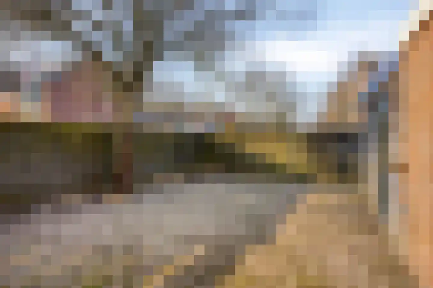 Geert Valckeshof 13 Leek thumbnail 22