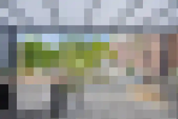 Geert van der Zwaagweg 14 Heerenveen thumbnail 19