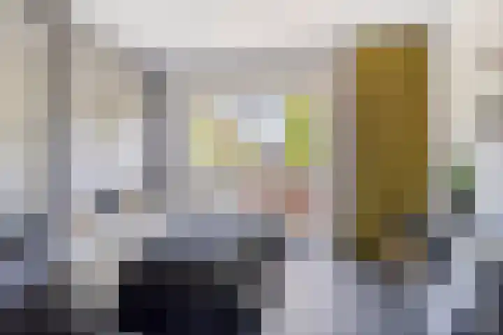 Geert van der Zwaagweg 14 Heerenveen thumbnail 25