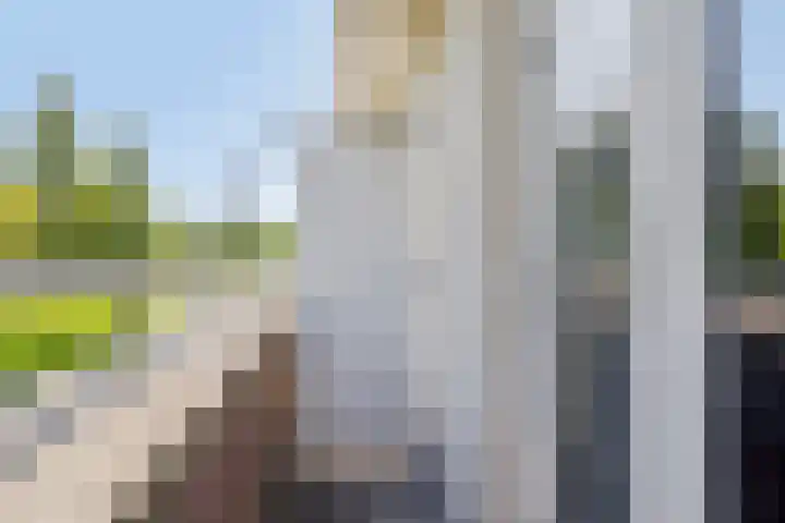 Geert van der Zwaagweg 14 Heerenveen thumbnail 27