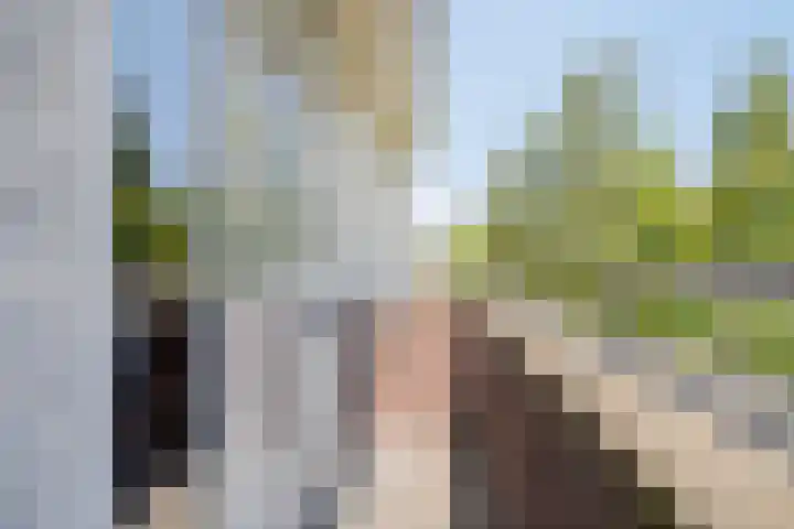 Geert van der Zwaagweg 14 Heerenveen thumbnail 28