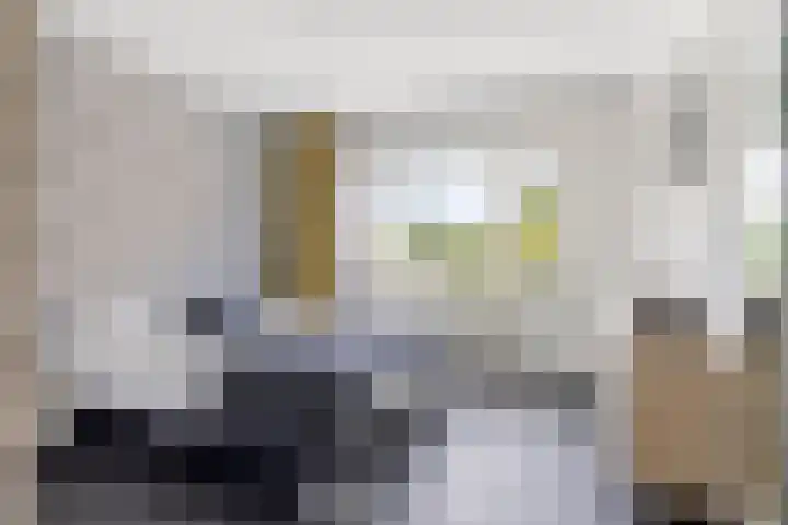 Geert van der Zwaagweg 14 Heerenveen thumbnail 33
