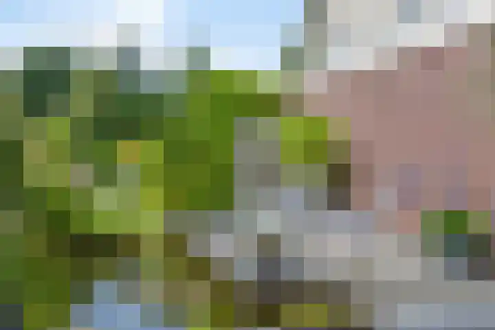 Geert van der Zwaagweg 14 Heerenveen thumbnail 38