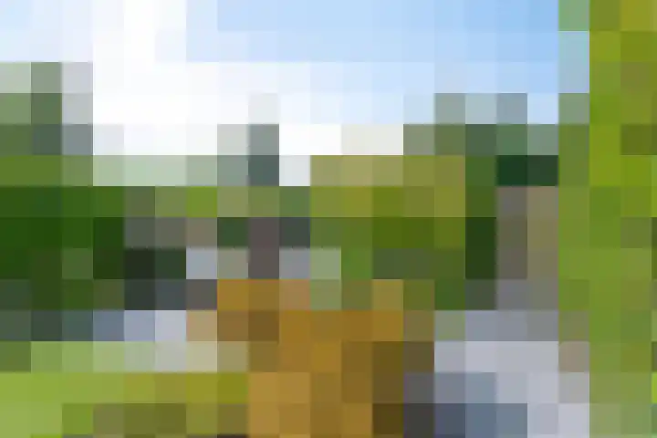 Geert van der Zwaagweg 14 Heerenveen thumbnail 40