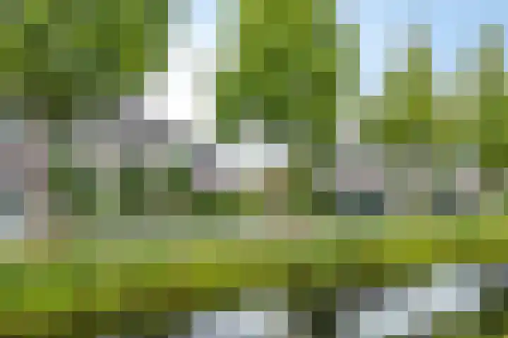 Geert van der Zwaagweg 14 Heerenveen thumbnail 44