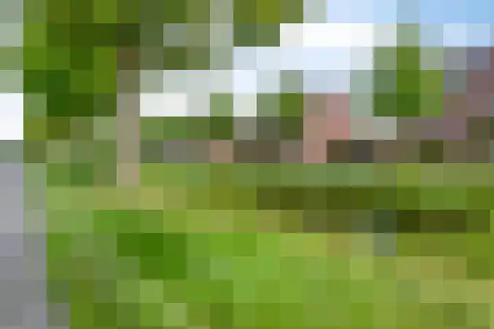 Geert van der Zwaagweg 14 Heerenveen thumbnail 45