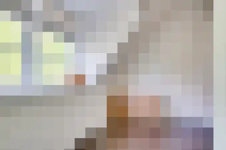Geert van Woustraat 13 's-Hertogenbosch thumbnail 15