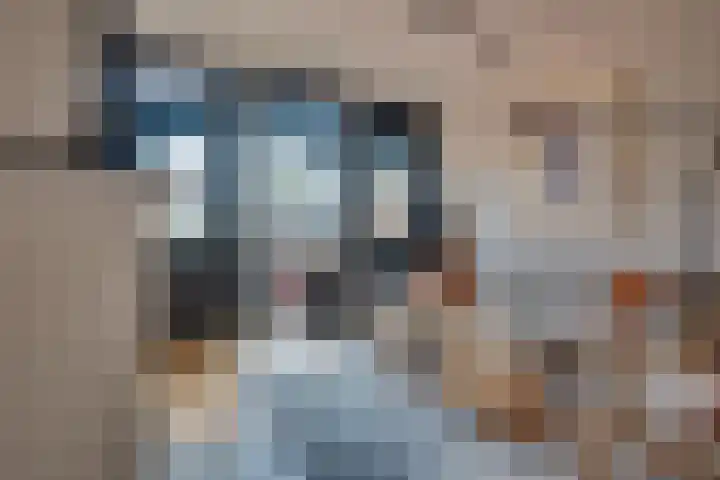 Geert van Woustraat 13 's-Hertogenbosch thumbnail 6