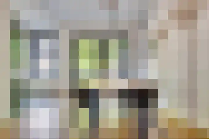 Geert van Woustraat 13 's-Hertogenbosch thumbnail 8