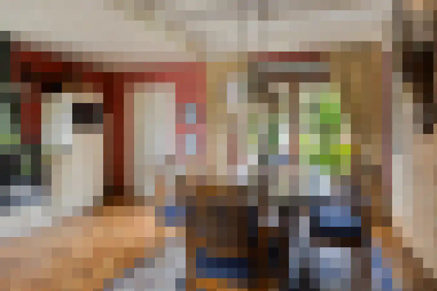 Geert van Woustraat 25 Denekamp thumbnail 13