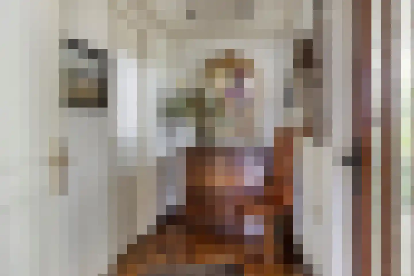 Geert van Woustraat 25 Denekamp thumbnail 16