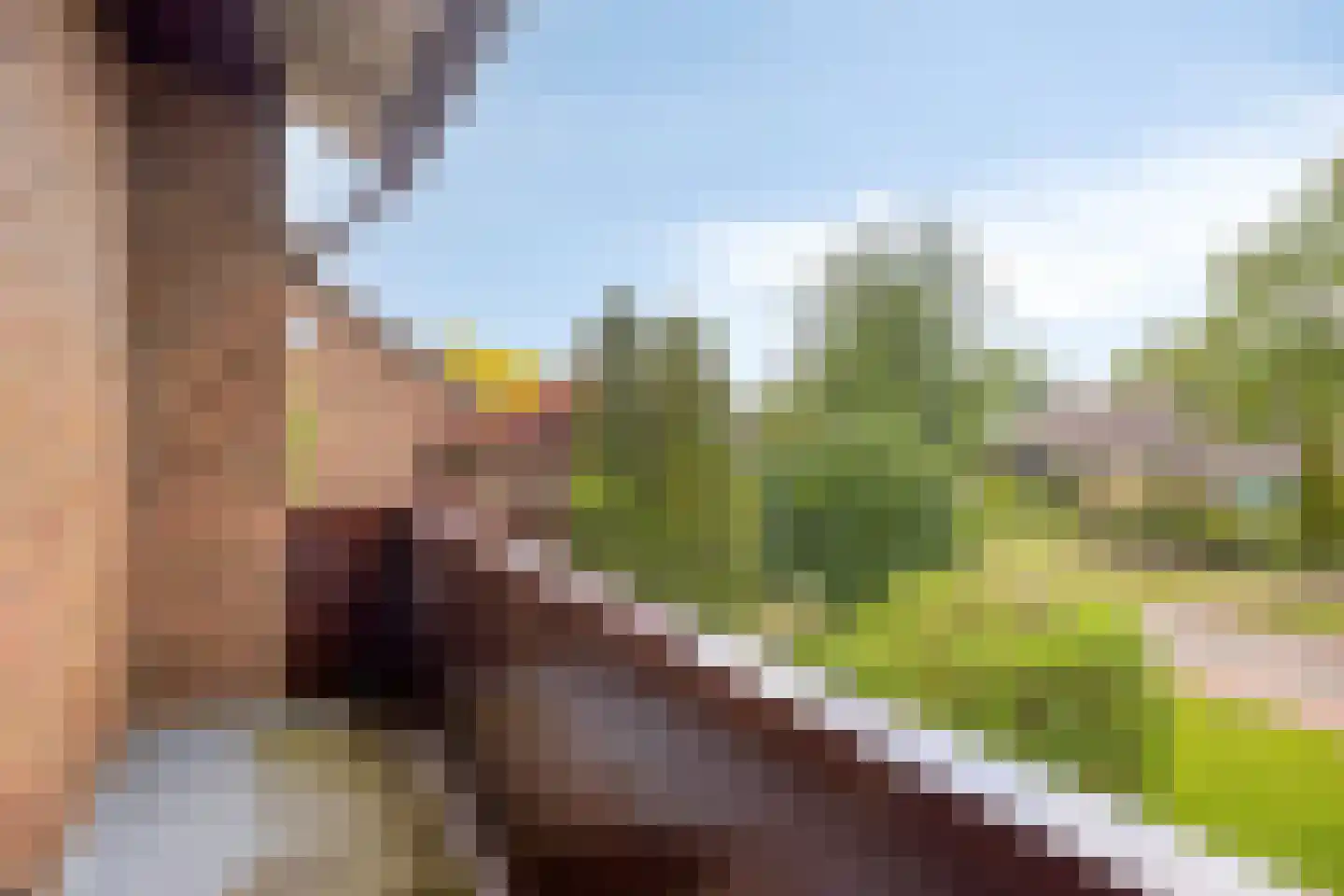 Geert van Woustraat 25 Denekamp thumbnail 23