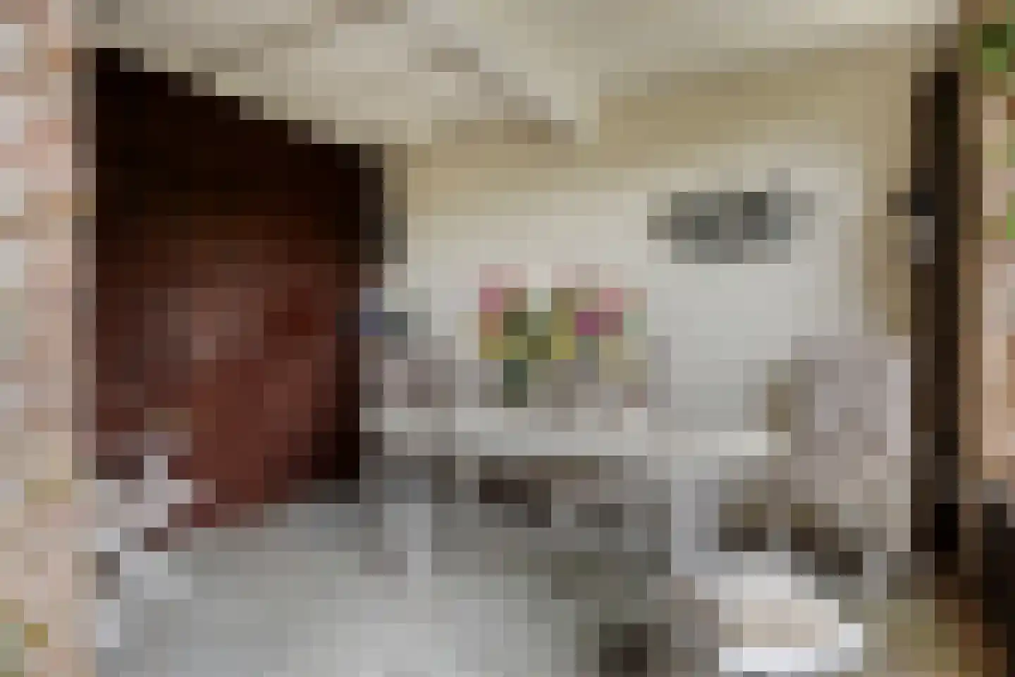 Geert van Woustraat 25 Denekamp thumbnail 33