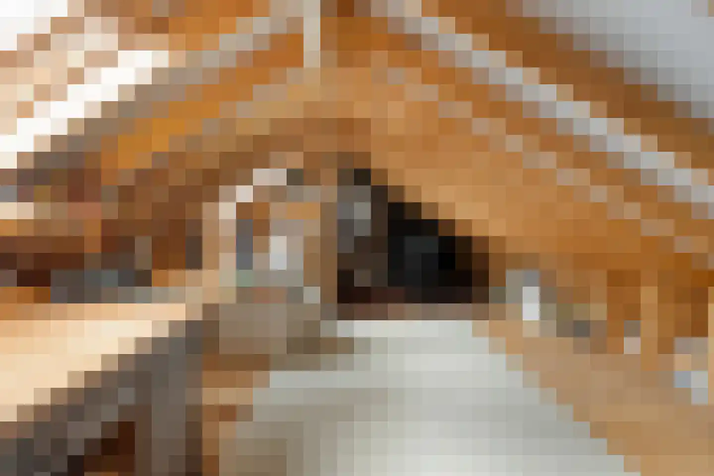 Geert van Woustraat 25 Denekamp thumbnail 35