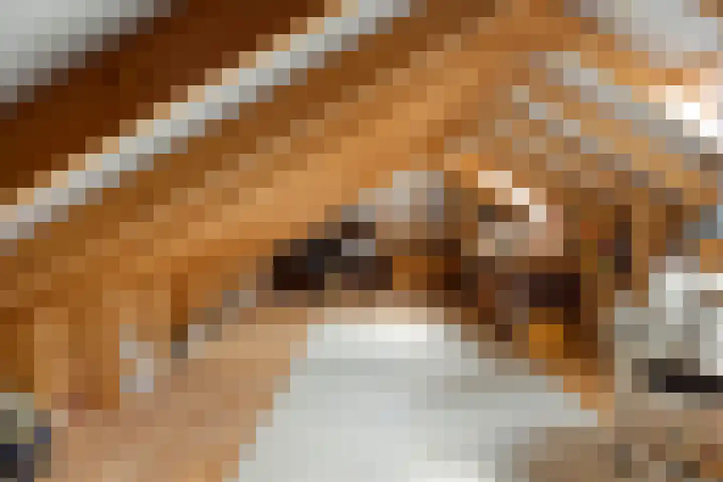 Geert van Woustraat 25 Denekamp thumbnail 36