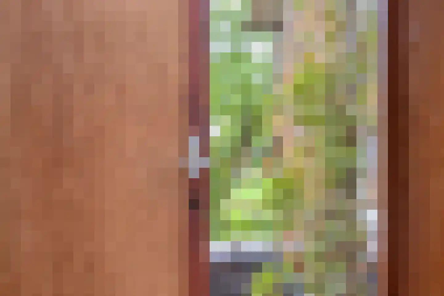 Geert van Woustraat 25 Denekamp thumbnail 37