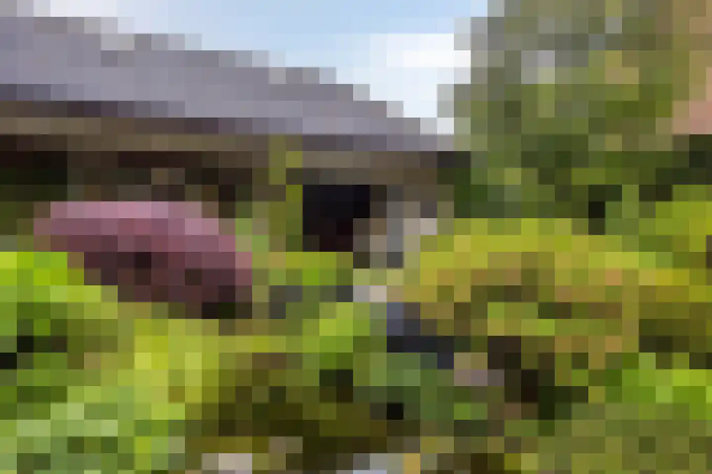 Geert van Woustraat 25 Denekamp thumbnail 39