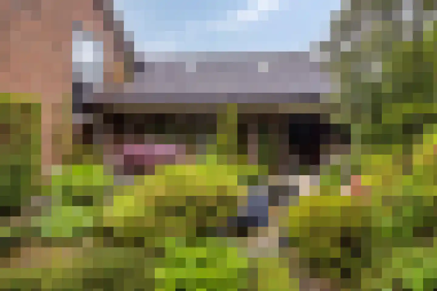 Geert van Woustraat 25 Denekamp thumbnail 40