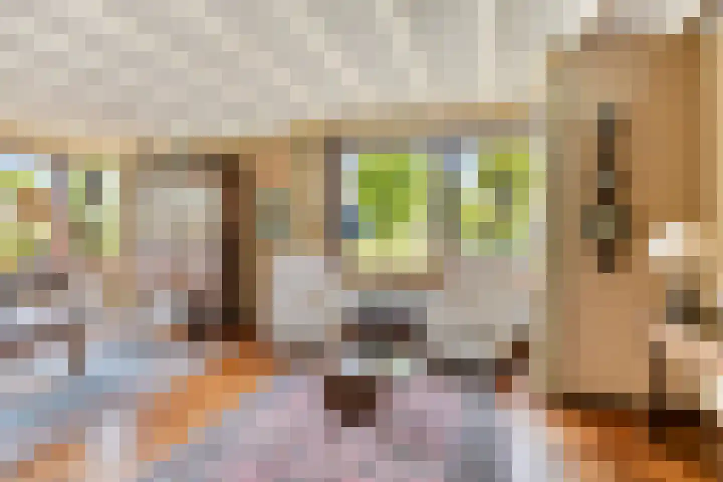Geert van Woustraat 25 Denekamp thumbnail 7