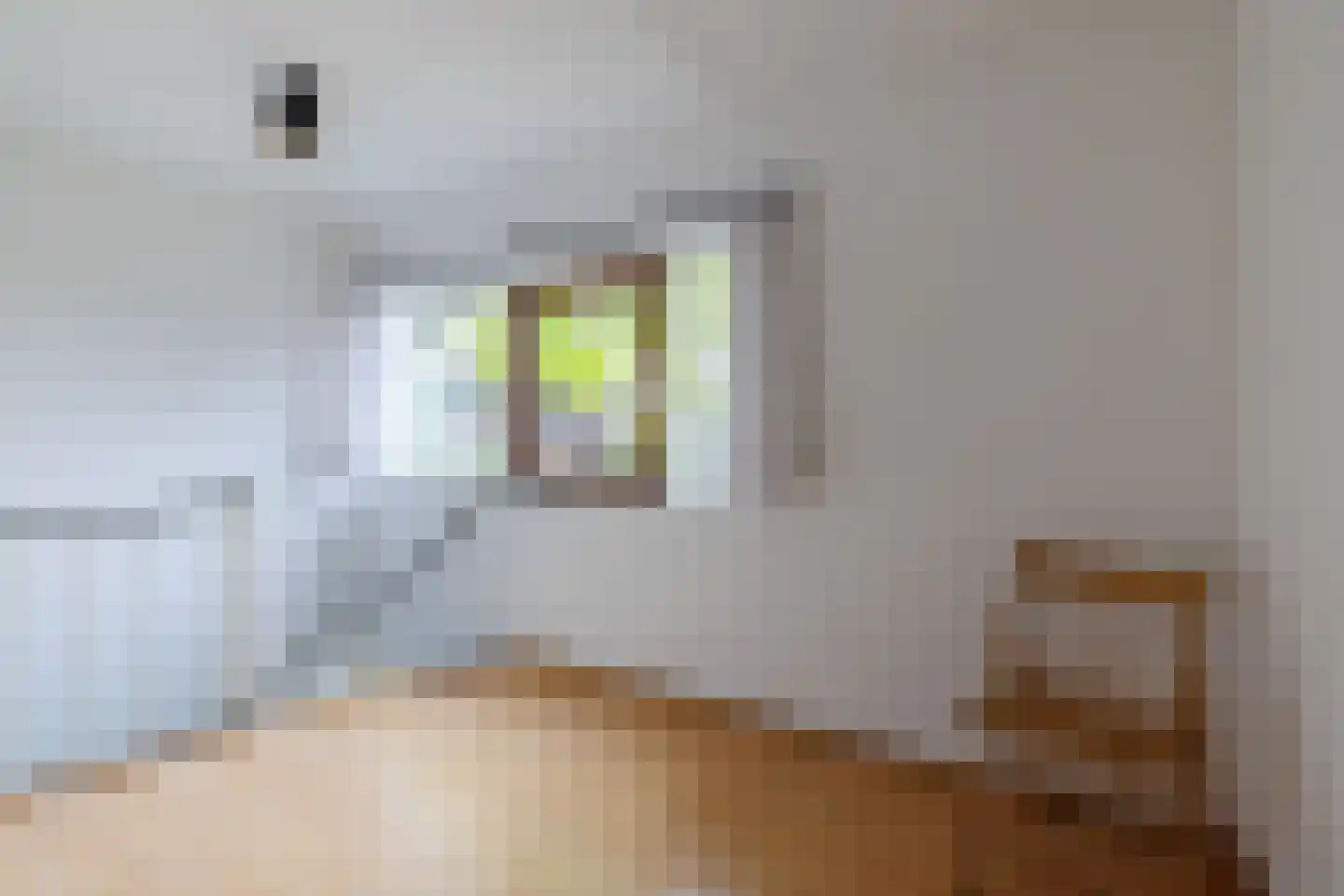 Geert van Woustraat 33 Denekamp thumbnail 21