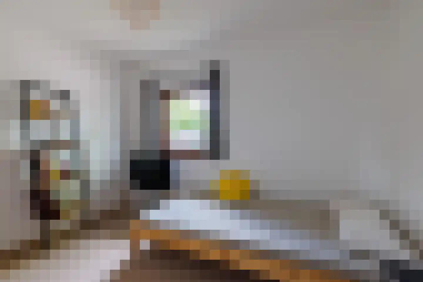 Geert van Woustraat 33 Denekamp thumbnail 25