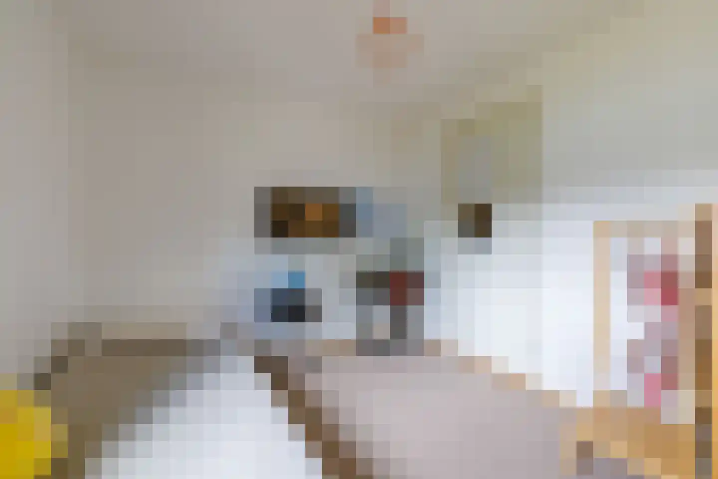 Geert van Woustraat 33 Denekamp thumbnail 26