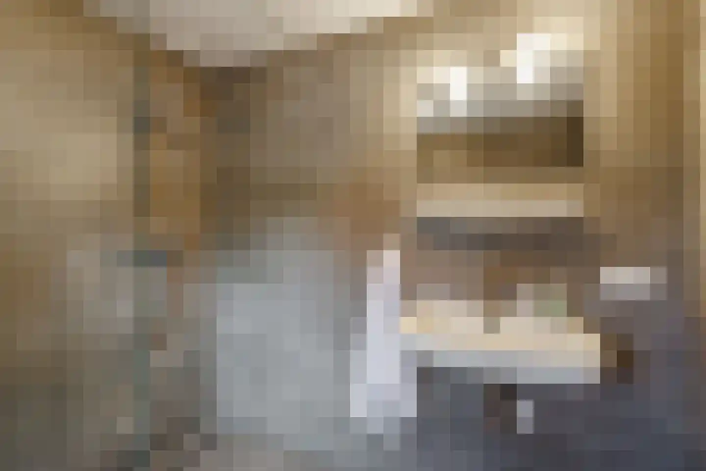 Geert van Woustraat 33 Denekamp thumbnail 28