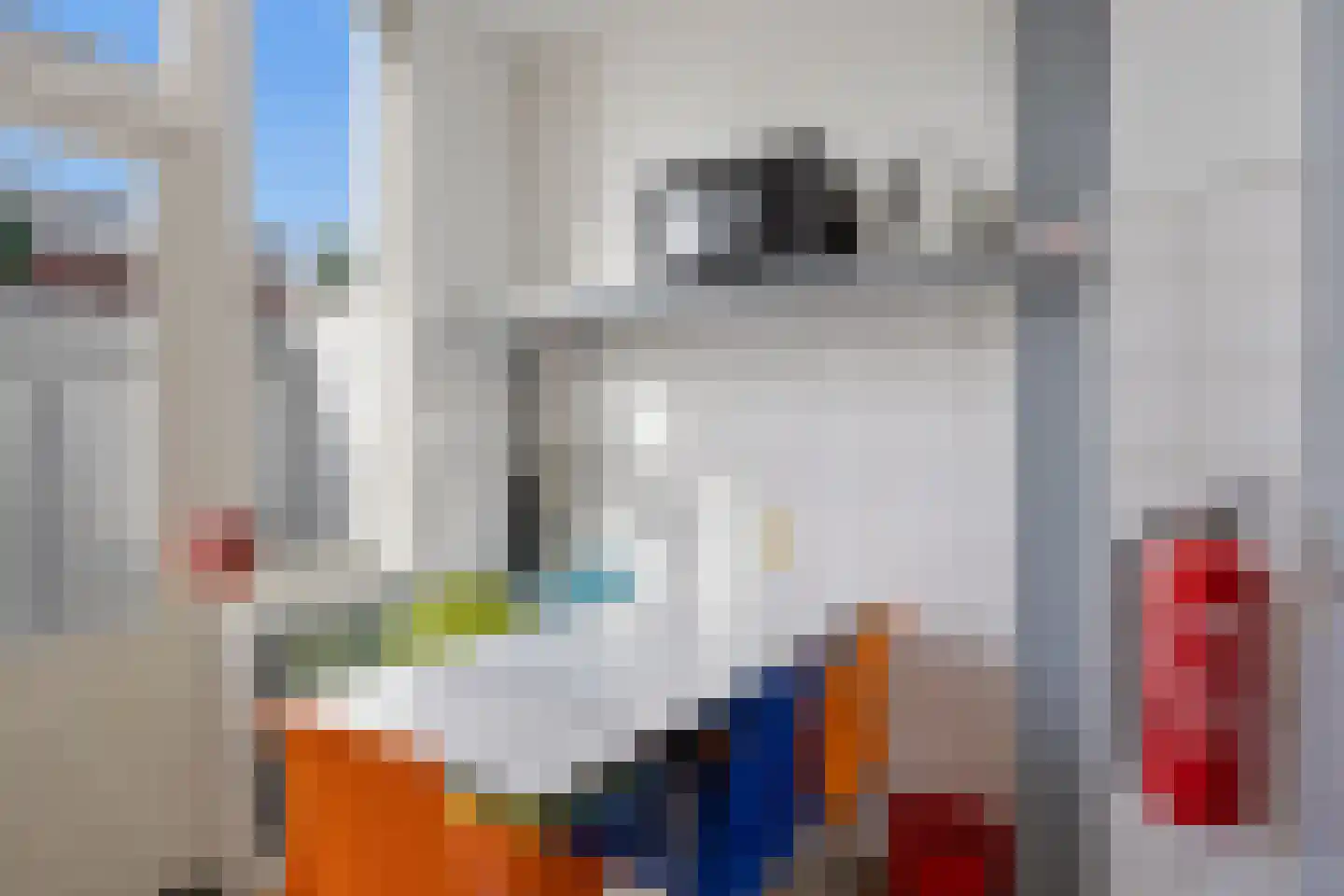Geert van Woustraat 47 's-Hertogenbosch thumbnail 10