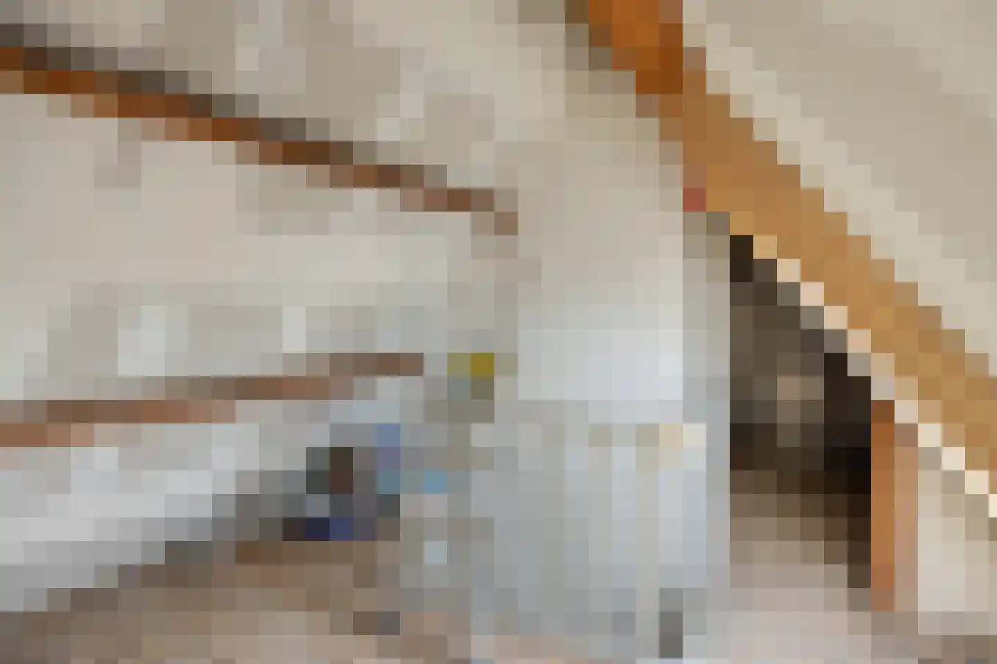 Geert van Woustraat 47 's-Hertogenbosch thumbnail 34