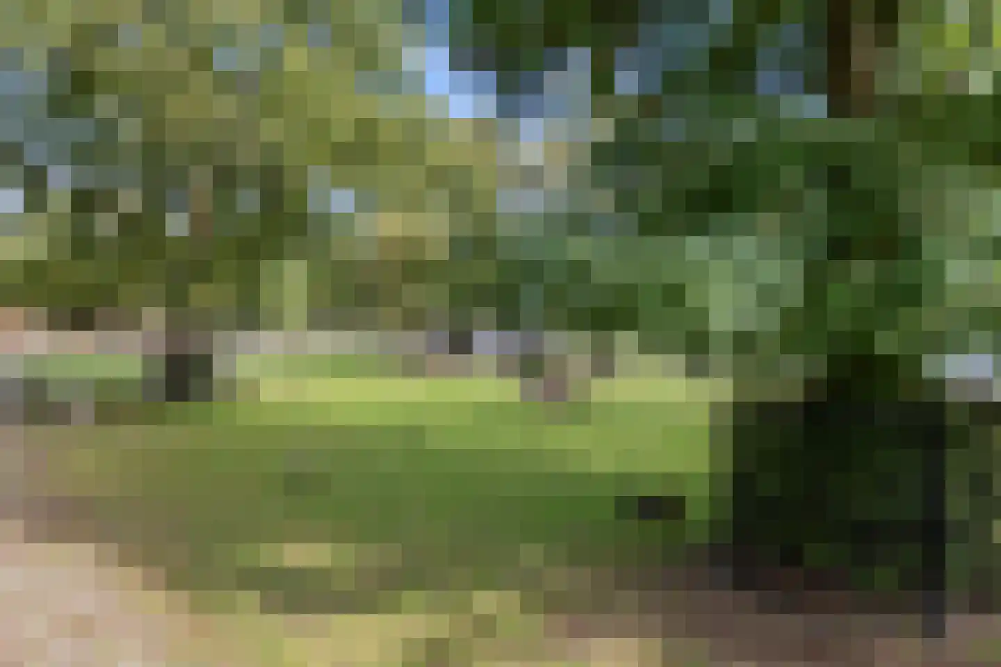 Geert van Woustraat 47 's-Hertogenbosch thumbnail 38
