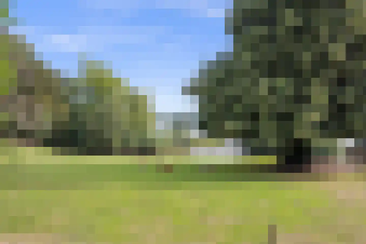 Geert van Woustraat 47 's-Hertogenbosch thumbnail 4