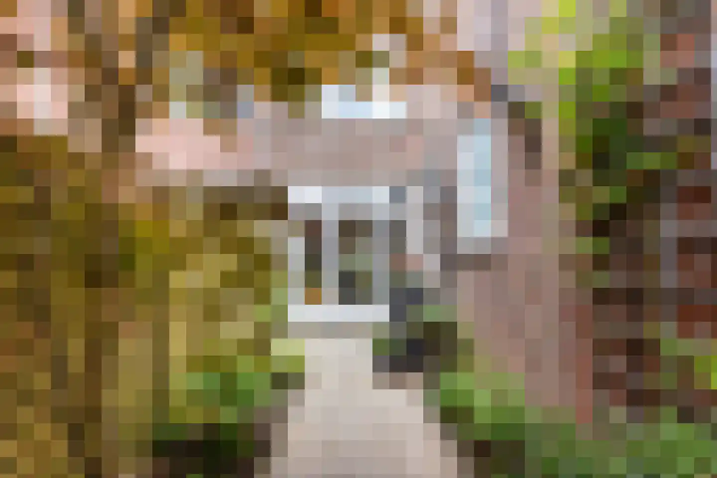 Geertebolwerk 27 Utrecht thumbnail 19