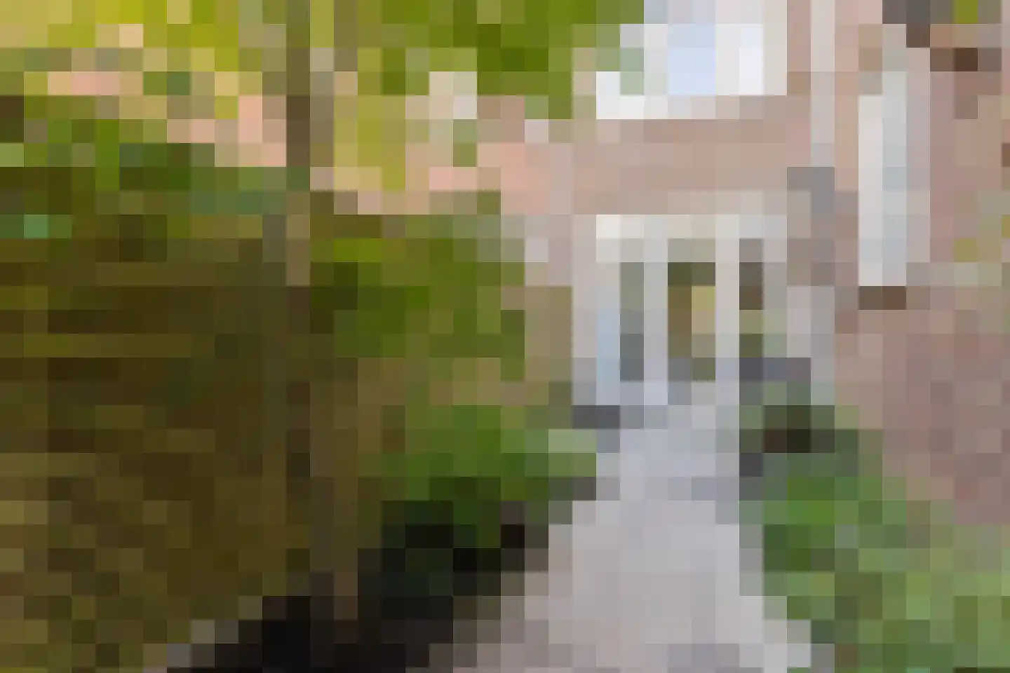 Geertebolwerk 27 Utrecht thumbnail 24