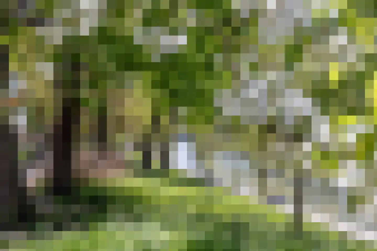 Geertebolwerk 27 Utrecht thumbnail 37