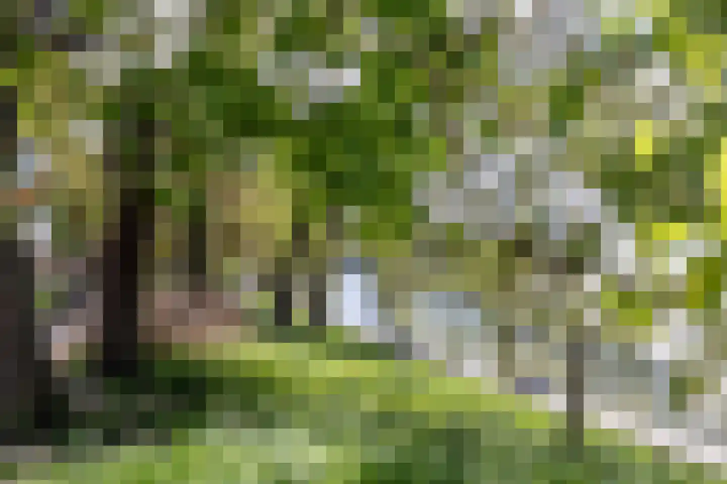 Geertebolwerk 27 Utrecht thumbnail 37