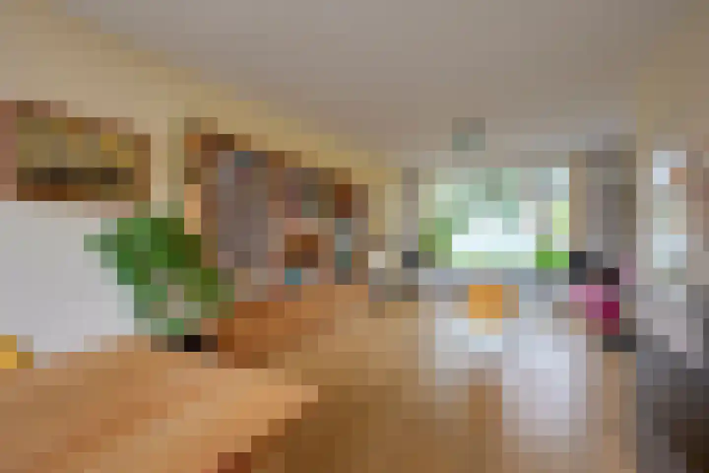 Geertebolwerk 32 Utrecht thumbnail 11