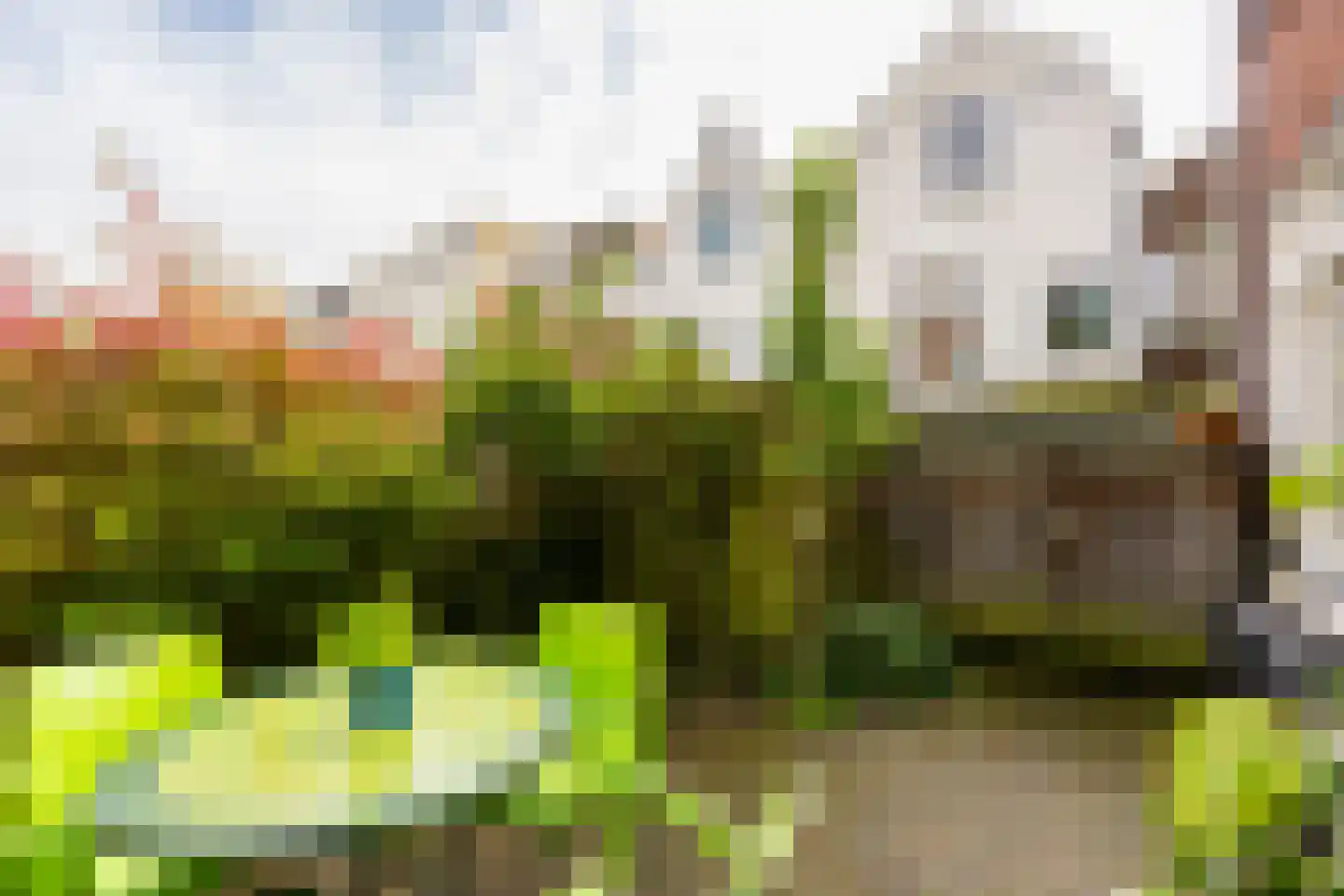 Geertebolwerk 32 Utrecht thumbnail 21