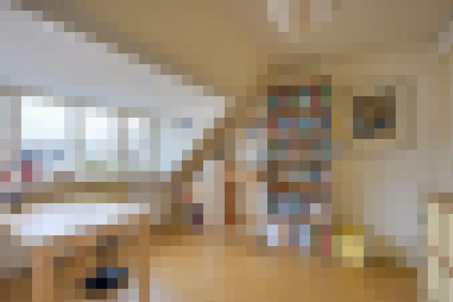 Geertebolwerk 32 Utrecht thumbnail 30