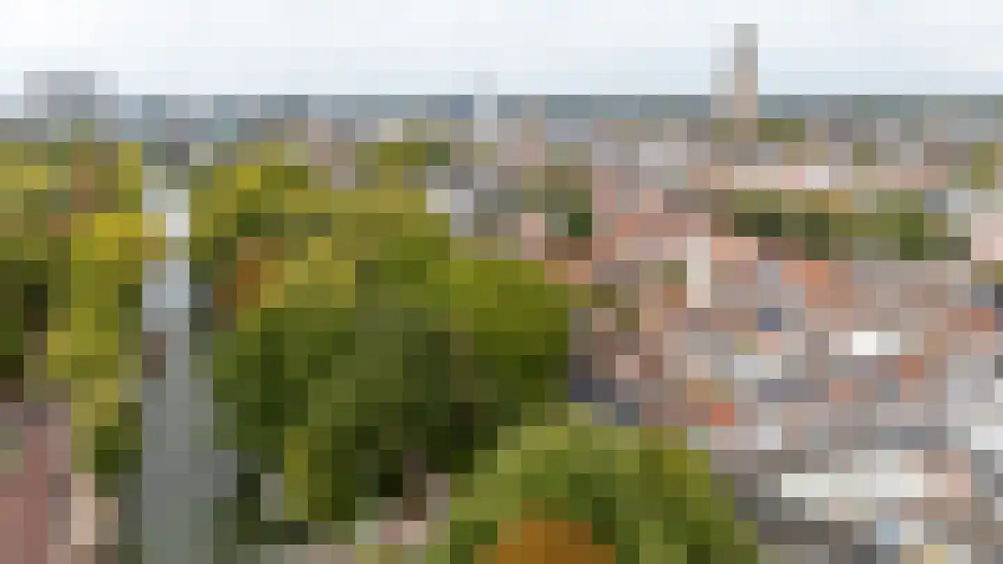 Geertebolwerk 32 Utrecht thumbnail 41