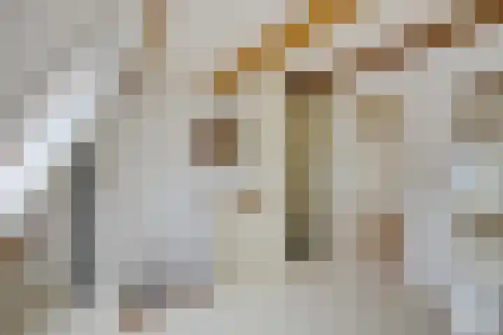 Geertekerkhof 10 Utrecht thumbnail 15
