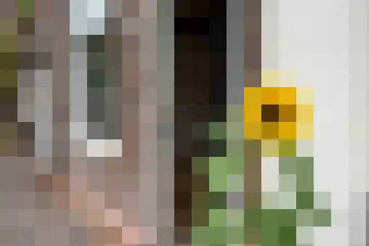 Geertekerkhof 10 Utrecht thumbnail 18
