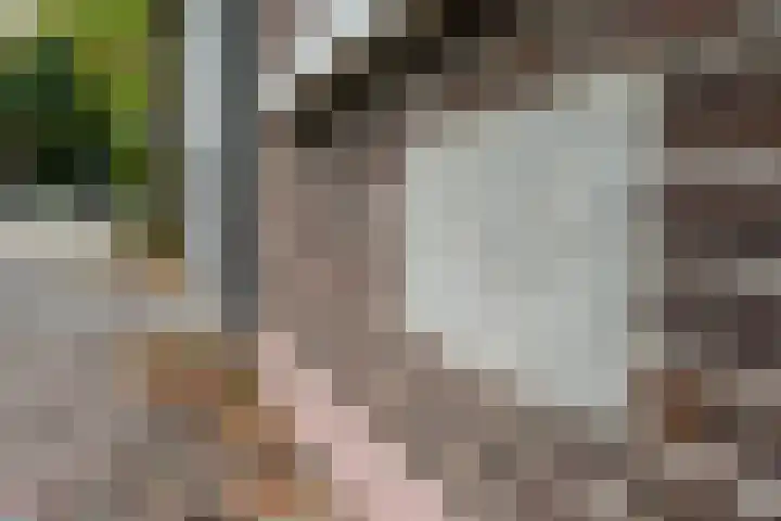 Geertekerkhof 10 Utrecht thumbnail 19