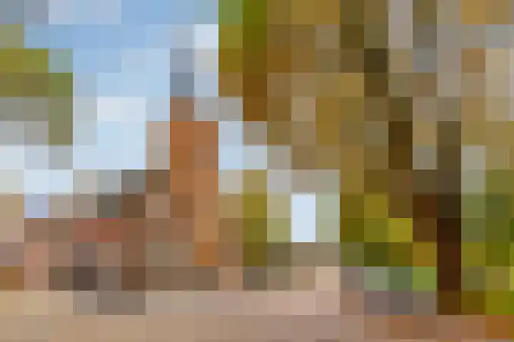 Geertekerkhof 10 Utrecht thumbnail 20