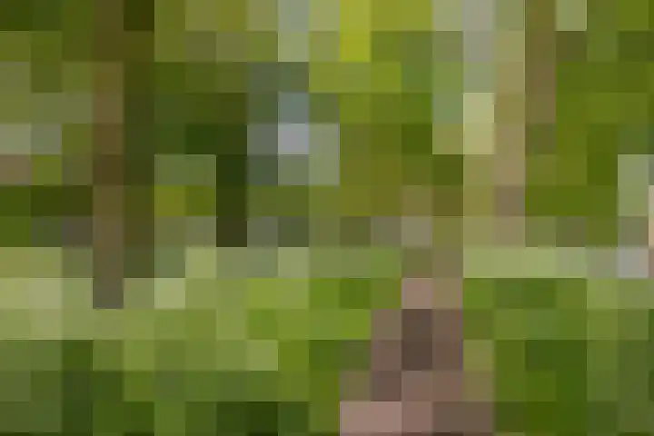 Geertekerkhof 10 Utrecht thumbnail 21